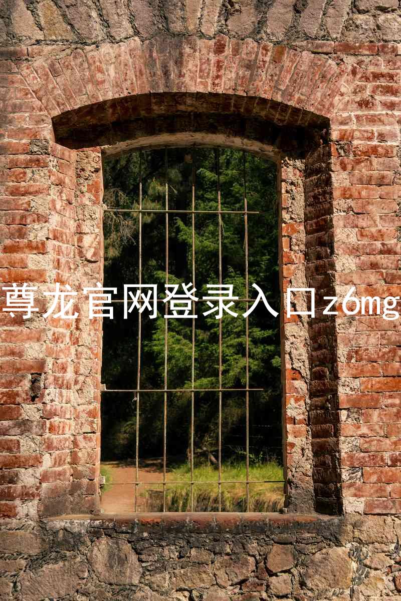 尊龙官网登录入口z6mg